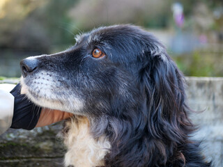Mine d'A Ferrera - Farinole - Corse - Randonnée
