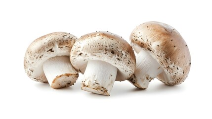 Fresh Brown Mushrooms Isolated on White Background