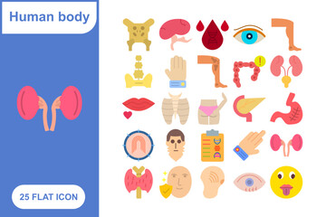 Human Body Parts Flat Icons Set, Collection of 25 Human Body Parts Flat Icons Set - 25 Vector Icons for Anatomy, Health, Medicine, and Medical Design