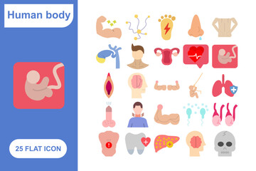 Human Body Parts Flat Icons Set, Collection of 25 Human Body Parts Flat Icons Set - 25 Vector Icons for Anatomy, Health, Medicine, and Medical Design