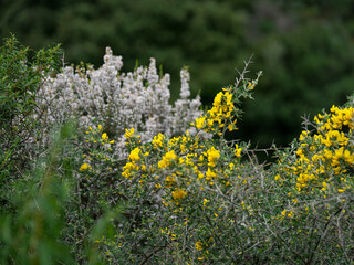 Corse - Villanova - Randonnée