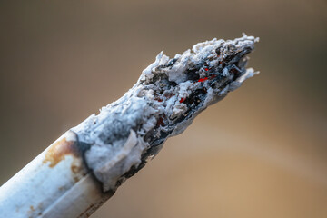 A close-up of a burning cigarette with detailed ash and smoke rising against a blurred background. The glowing embers and textured ash highlight the smoking process.