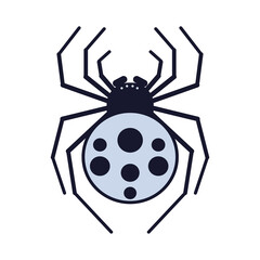 spider on a white background