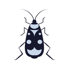 bug on a white background