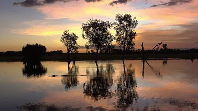 A ferocious Saltwater Crocodile (Crocodylus porosus) while spectacularly and colorful sunset at Yellow Waters Billabong in Kakadu National Park, Northern Territory, Australia