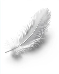 Obraz premium A delicate white feather resting on a smooth surface against a white background.