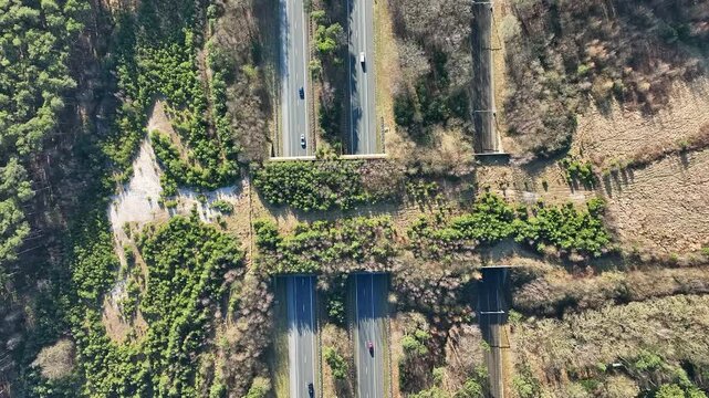 Ecoduct Hulshorst on the highway A28 on the Veluwe in the Netherlands Europe