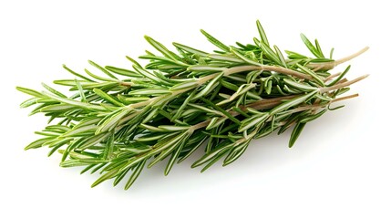 Fototapeta premium Fresh rosemary bunch isolated on white