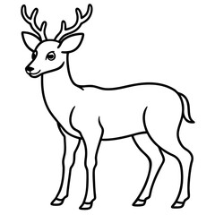 Obraz premium line art drawing illustration of a deer vector illustration, isolated on white background