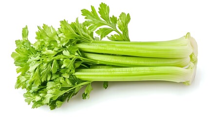 Celery isolated on white background