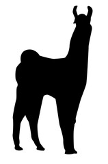 Llama silhouette