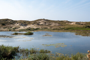 A lake in the dune nature reserve