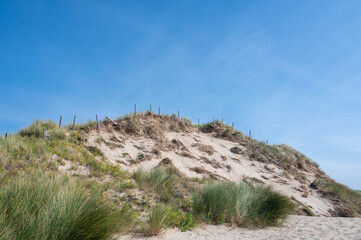Dunes with beach grass and a barbed wire fence on the North Sea coast