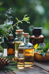 Bottles of tincture or potion, organic essential oils, dry healthy herbs, floral extracts on wooden...