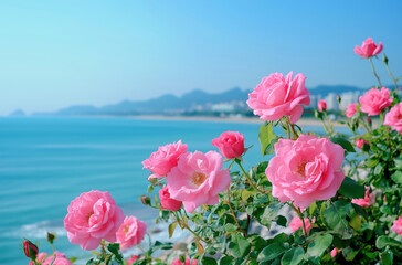 Pink roses on the seashore background