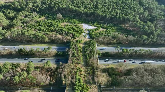 Ecoduct Hulshorst on the highway A28 on the Veluwe in the Netherlands Europe