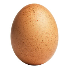 A smooth, brown egg with a speckled surface, showcasing its oval shape and natural variations.