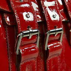 Fototapeta premium Closeup buckles, clasps, zipper.