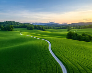 Serene, winding country road through verdant fields at sunset