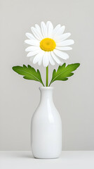 Single white daisy in a white vase