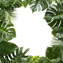 A lush border of green tropical leaves surrounds a blank black center, creating a vibrant natural frame perfect for text or images.