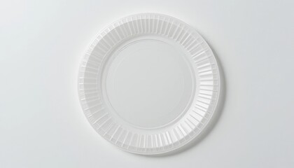 Simple White Paper Plate for Party Food or Picnic Setting
