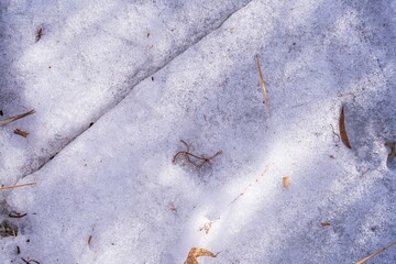 Melted spring ice on the river with dry vegetation. First thawed patches. Ice in spring. Texture of spring ice and cracks.