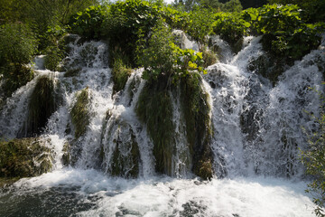 Fototapeta premium A tranquil view of the small waterfalls at Plitvice Lakes National Park, surrounded by lush greenery.