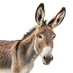 Fotobehang Ezel Realistic donkey portrait with expressive eyes and long ears in high-quality digital illustration capturing the gentle and hardworking nature of this beloved farm and pack animal in rustic settings  © Sultan