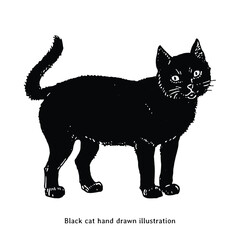 Black cat illustration. Black cat hand drawn illustration. Black cat vintage drawing