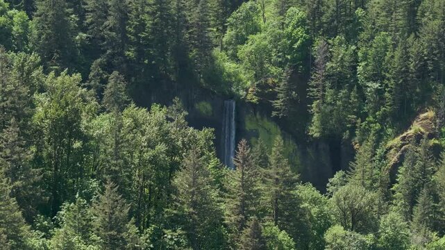 Latourell Falls in the Scenic Columbia River Gorge along the Oregon and Washington Border. 