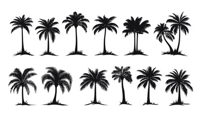 Tropical Palm Tree Silhouette Vector Set for Nature and Beach Designs
