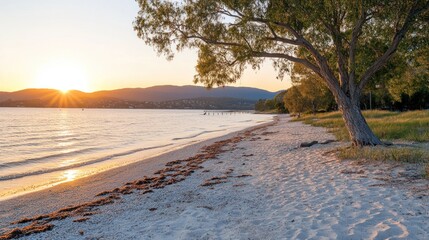 A serene beach at sunset with gentle waves and a tree casting shade on the sand.