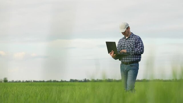 vermer work laptop green wheat, agriculture business farm, food grow agriculture, farming grain grow, young shoots wheat, green germs, male agricultural technician work laptop farm, healthy food