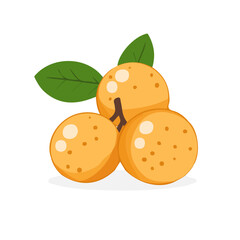 Longan Icon | Stylish & Minimalist Flat Design.
