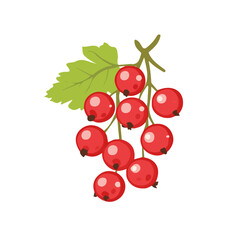 Red Currant Icon | Bold & Sleek Flat Design.
