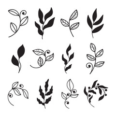 Set of hand drawn organic minimalist silhouette summer and spring branches with leaves. Simple flower logo design element. Elegant floral twig decoration. Botanical simple. Plant icon set