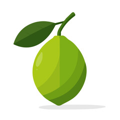 Spanish Lime Icon | Minimalist & Elegant Vector Art.
