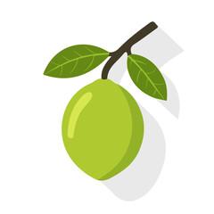 Spanish Lime Icon | Minimalist & Elegant Vector Art.

