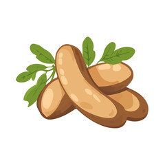 Tamarind Icon – Vector Illustration of the Unique, Tangy Fruit
