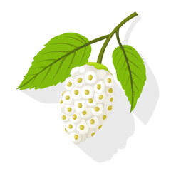 White Mulberry Icon – Vector Illustration of the Fresh Fruit
