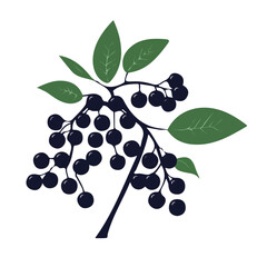 Elderberry Icon – Simple and Clean Design, Healthy Elderberry Symbol, Fresh Fruit Vector Illustration, Organic Elderberry Design, Natural and Vibrant Graphic, Elderberry Digital Art, Flat Design Icon,