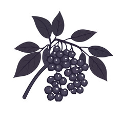 Elderberry Icon – Simple and Clean Design, Healthy Elderberry Symbol, Fresh Fruit Vector Illustration, Organic Elderberry Design, Natural and Vibrant Graphic, Elderberry Digital Art, Flat Design Icon,