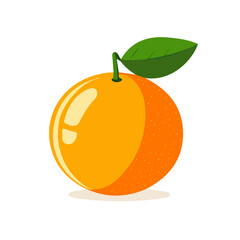 orange fruit vector illustration