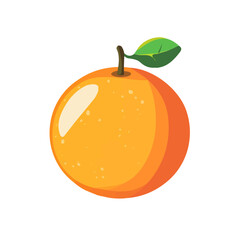 vector illustration of an orange