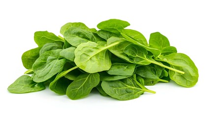 Fototapeta premium Mizuna lettuce isolated Japanese Mustard