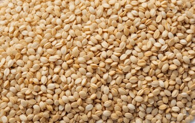 Fototapeta premium Pile of Teff Grain Seeds Filling the Frame for Food Concepts