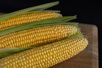 Fresh sweet corn cobs with green husks on wooden cutting board against dark background. Close-up of ripe maize ears with shiny yellow kernels. Organic farm produce and healthy food