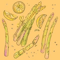 Illustration in color - Asparagus and Lemon. Funny Cooking Composition