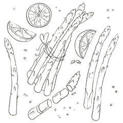 Illustration monochrome - Asparagus and Lemon. Pencil imitation with laconic Cooking Composition. Transparent background.